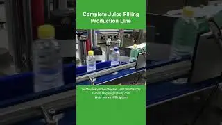 Complete Juice Filling Production Line for Orange Juice, Mango Juice, Blueberry Juice - Chenyu