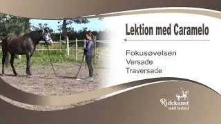 Arbejde fra hånden med versaden og traversaden.