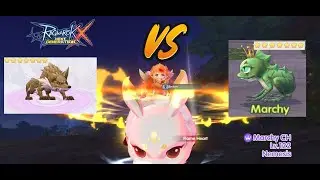 [ROX] Pet decision ... Desert Wolf 7ดาว VS Toad 7ดาว ทำอันไหนดีกว่ากันครับบ??? #rox