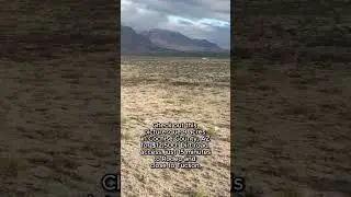 9 Acres of Arizona Land for Sale &ndash; Only $12,500, Dirt Road Access, and Close to Tucson!