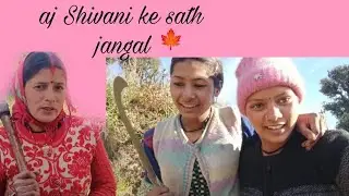 आज सबके साथ जंगल गए 😄😅