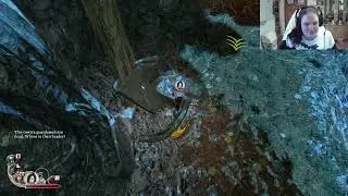 Blood knights play through Part 2