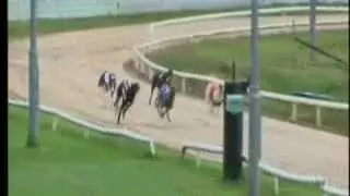 IGB - GoGreyhoundRacing.ie  A0/A1   05/06/2019 Race 7 - Youghal