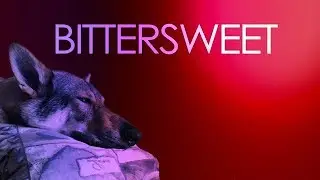 Bittersweet - The Tale of a Czechoslovakian Wolfdog