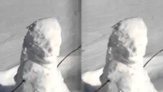 Snowman poppy3d