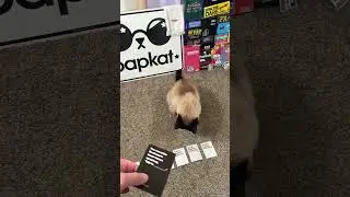 Карты против человечества