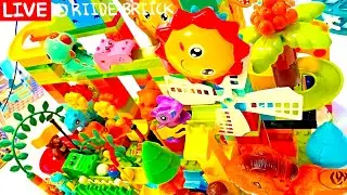 🧘 5 Hour Zen Marble Run | Pure ASMR for Deep Relaxation & Better Sleep