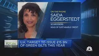 UK green bond framework still has some 'controversial areas,' says Schroders