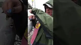 Keeper Size! #fishingshorts#trendingyoutubeshortsvideo
