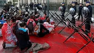 Protesters gain access to restricted area of European Council ahead of CETA signing - world
