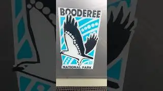 Camping in Booderee national park(Jervis bay) part 1 #travel #camping #jervisbay #67k #nsw