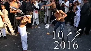 Extreme Ritual I 10 Muharram Zanjeer Zani Pakistan 2016