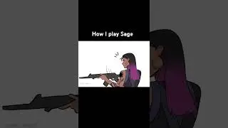 Pocket sage #valorant #valorantmemes #game #sagevalorant #reynavalorant #wlw #games