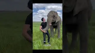 The touching companionship between humans and animals. #moments #sad #animals #touching