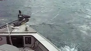 Musky Fishing the St. Lawrence River