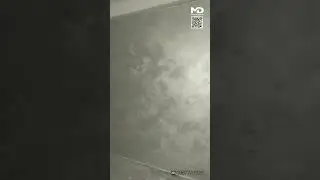 ШЕЛК НА СТЕНАХ - ВСЕГДА  МОДНО🔥 VELVET DEKOR FEIDAL/ OTTOCHENTO