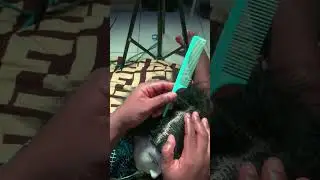 ASMR Teaching You How To Braid a Thick Hair