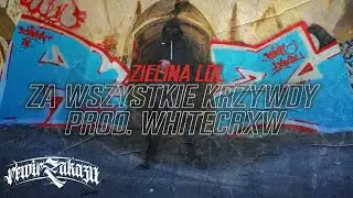 Zielina LDL - ZA WSZYSTKIE KRZYWDY // PROD. WHITECRXW (Official Video)