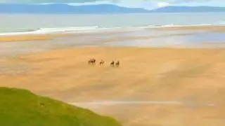 Best of Ireland's Coast