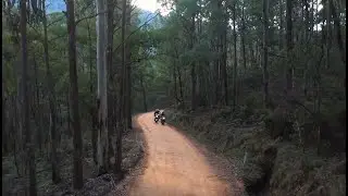 Locals guide to the best motorbike rides in Victoria