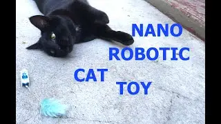 Cats React to Hexbug Nano Robotic Cat Toy - Fun for Everyone!