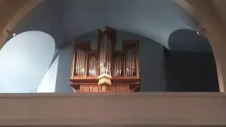 Jean-Marc Meyer &agrave; l'Orgue de Mundolsheim - Janvier 2020