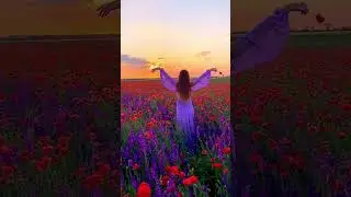 Flowerdance #flower #цветы #amb #relax #amazing #dance #views
