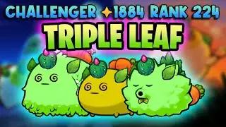 HIGH RANK TRIPLE LEAFY PLANT BUILD | ORIGIN LEADERBOARDS | AXIE INFINITY