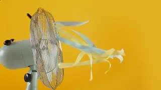 Continuous Fan Sound for Peaceful Rest | White Noise For Superb Slumber, Studying & Relaxation