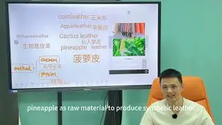 Biobased leather cactus leather corn leather pineapple leather apple leather manufacturer 
