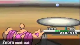 Pokemon Black And White Wifi Battle #30(#115) Vs  Blackspottedzebra.