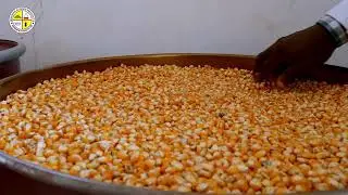 NSPRI Hermetic Drum (English) | Safe Grain Storage & Post-Harvest Solution