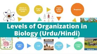 Levels of Organization in Biology in Urdu