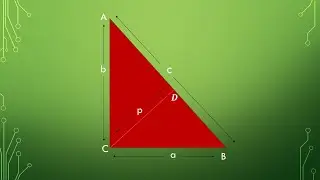 Prove 1/p&sup2; = 1/a&sup2; + 1/b&sup2; | Right-Angled Triangle Theorem Explained | Class 10 CBSE Maths