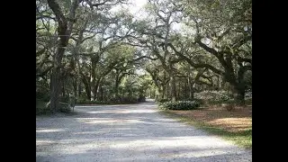 Richard Mabey Presents A Back Road of Central Florida