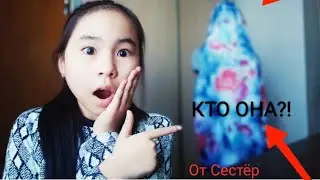 СТРАШИЛКА : КТО ОНА? (The Sister)