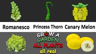 Вырастите сад в Roblox: ВСЕ растения (ВСЕ НАСТОЯЩИЕ) против реальной жизни | Забавная игра Дилана