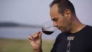 Wines of Greece: THRACE