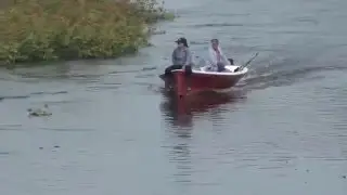 Ibicuy
