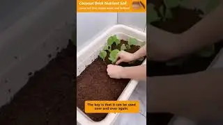 Transform Your Garden with Organic Coconut Coir. Unbelievable 49% OFF Sale #GardeningHacks #garden