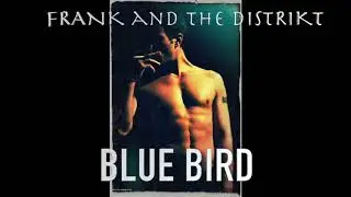 GARAGE ROCK LIVE :  FRANK STELLA / BLUE BIRD ( LIVE AUDIO 2019 )