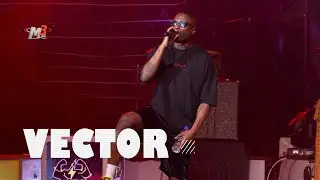 Vector Performs 