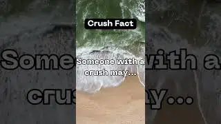 Introspection in Crushes #shorts #crushfacts