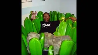 *FREE* NEPTUNES &times; 2000's &times; PHARRELL TYPE BEAT -  'LAYLA 010'