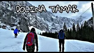 Planica 2021 - Dolina Tamar | Slovenia | sankanje na snegu