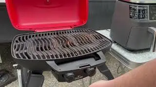 Napoleon TravelQ 285 Portable Gas BBQ Grill, Ideal for Camping & Tailgating Review, Great Option