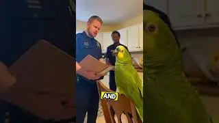 🦜Parrot Exposes Officer&rsquo;s Ex-Girlfriend | I Showed Her Your Selfie &mdash; That Did the Crying! 💀