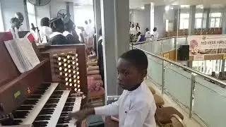 HEBAT ORGANIS LUAR BIASA. DOES GROSSE HALLELUJAH