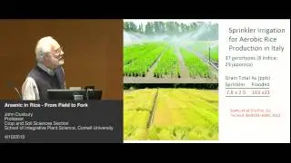 John Duxbury - Arsenic in Rice - From Field to Fork