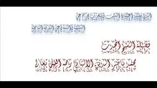 السلفي الحزبي يخرج من دائرة السنة ومن الفرقة الناجية- الشيخ الألباني
